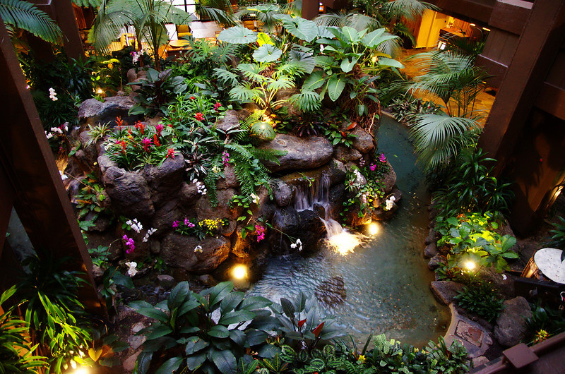DSC7367-L.jpg