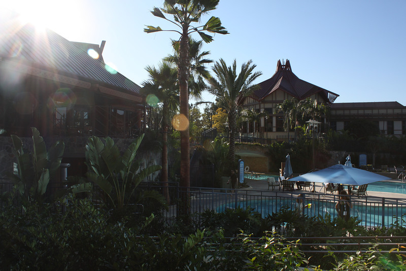 IMG0244-L.jpg