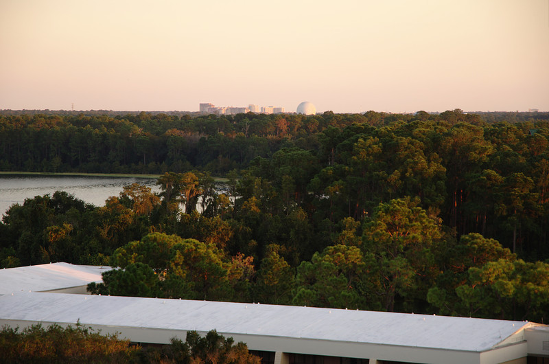 DSC6822-L.jpg