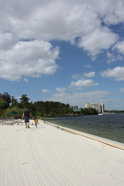 1211875539_2LFCs-L.jpg