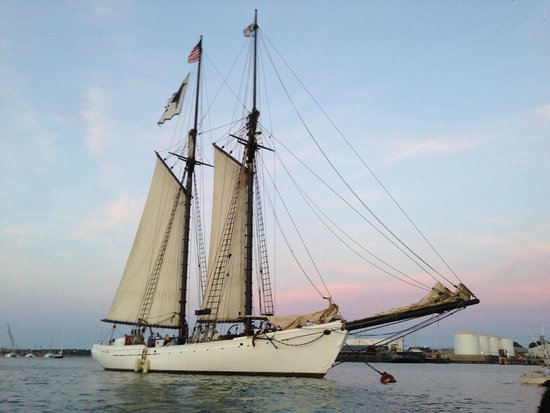 the-black-dog-tall-ships.jpg