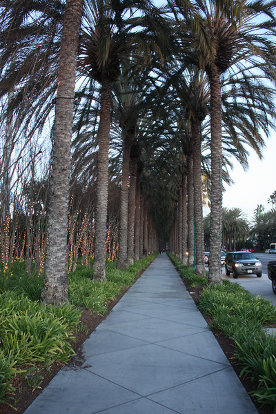 IMG0331-L.jpg