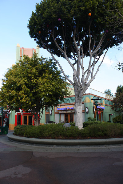 IMG9106-L.jpg