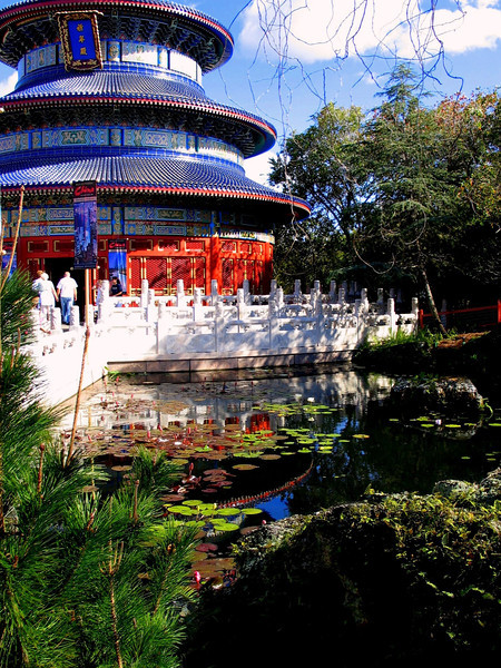 China9107ped-L.jpg
