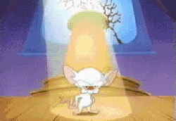 tumblr_lonsd08bHL1qjokxe.gif