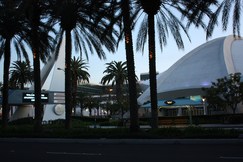 IMG0338-L.jpg