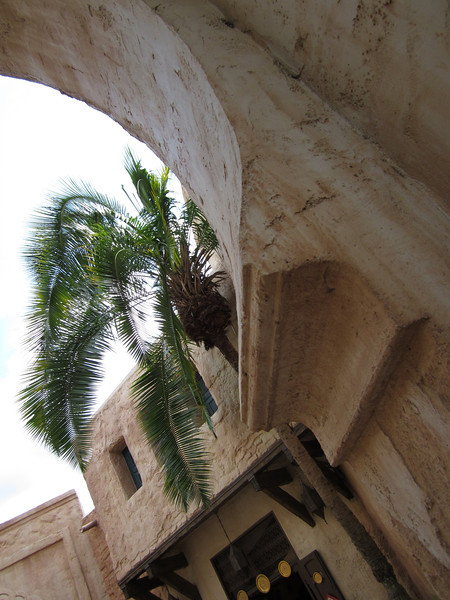 IMG0471-L.jpg
