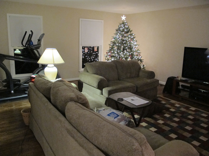 IMG6150-L.jpg