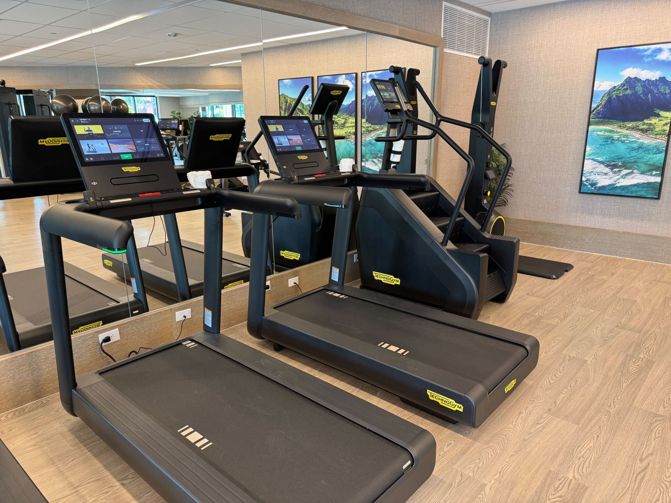 Treadmills and an elliptical are placed in a gym with mirrored walls and mountain scenery artwork.