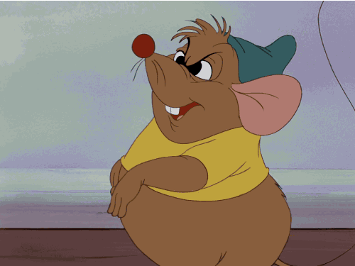 tumblr_mt75xzATks1s2wio8o1_500.gif