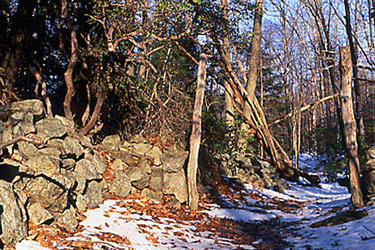 stone-gate-stereo.gif