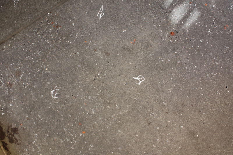 IMG9762-L.jpg