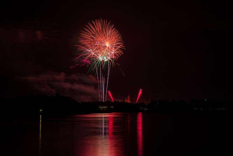 DSC_1541-L.jpg