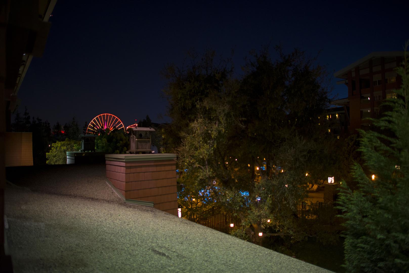 DSC_5699%20(Large).jpg