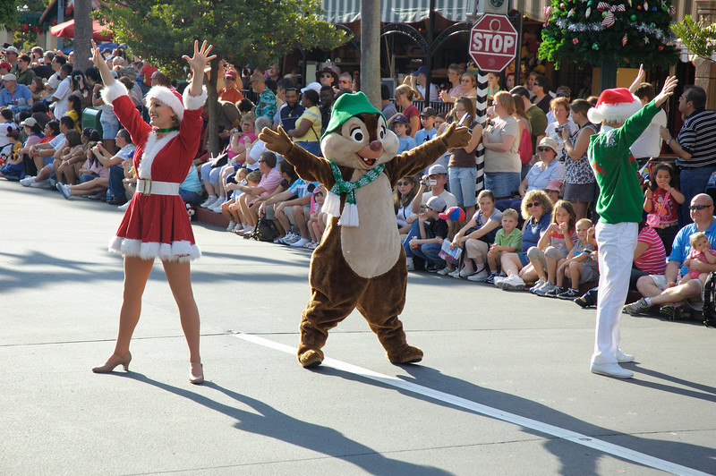 311462535_K8swh-L.jpg