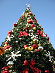 313298538_99bdeaabc1_m.jpg
