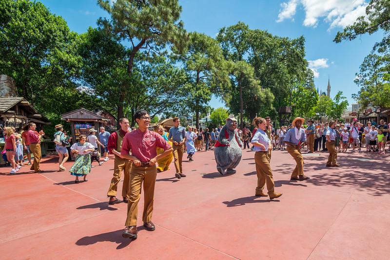 DSC_3264-L.jpg