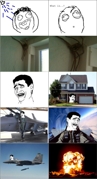 tumblr_ljpvr8kH8C1qcb5fko1_500.png