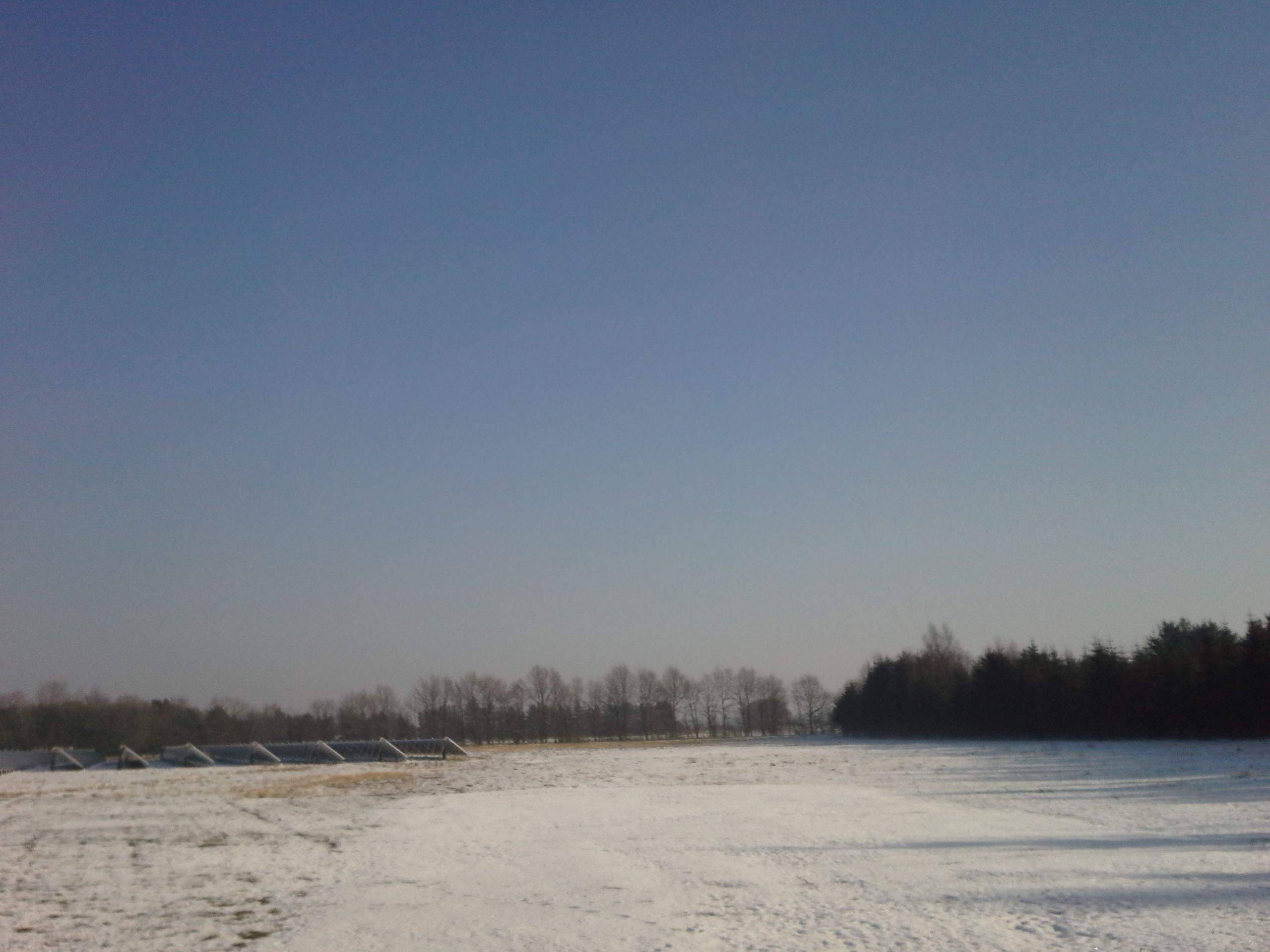20170215-143217.jpg