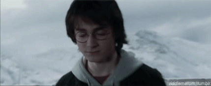 tumblr_ldsn0ipbke1qa8ir9o1_500.gif