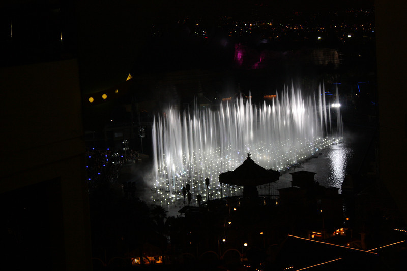 IMG_1675-L.jpg