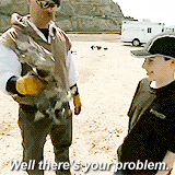 tumblr_inline_mon7p93Yyq1qz4rgp.gif