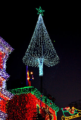 DSC_0357.jpg