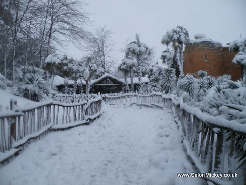 DSCF3773.JPG