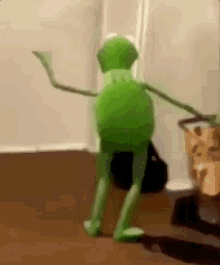 kermit-the-frog-muppets.gif