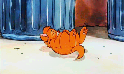 tumblr_ljreq07xDs1qf4qpho1_500.gif