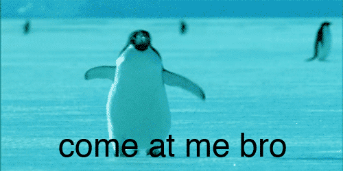 tumblr_lrykt3t8sv1qegw8v.gif