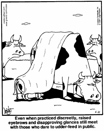 breastfeedingcows.gif