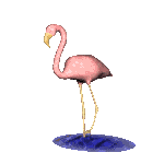 animated-gifs-flamingos-004.gif