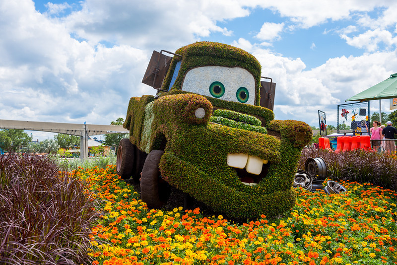 DSC_2167-L.jpg