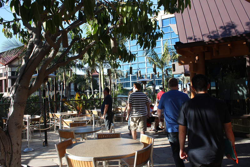 IMG0252-L.jpg