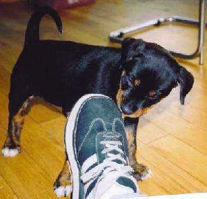 IN16.2510437-3-pn.jpg