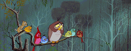 tumblr_lpvf52WfEc1qm6oc3o1_500.gif