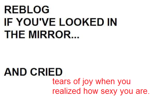 tumblr_lj3ut7x36V1qd7kw5o1_500.png