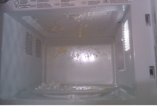 Egg1a.jpg