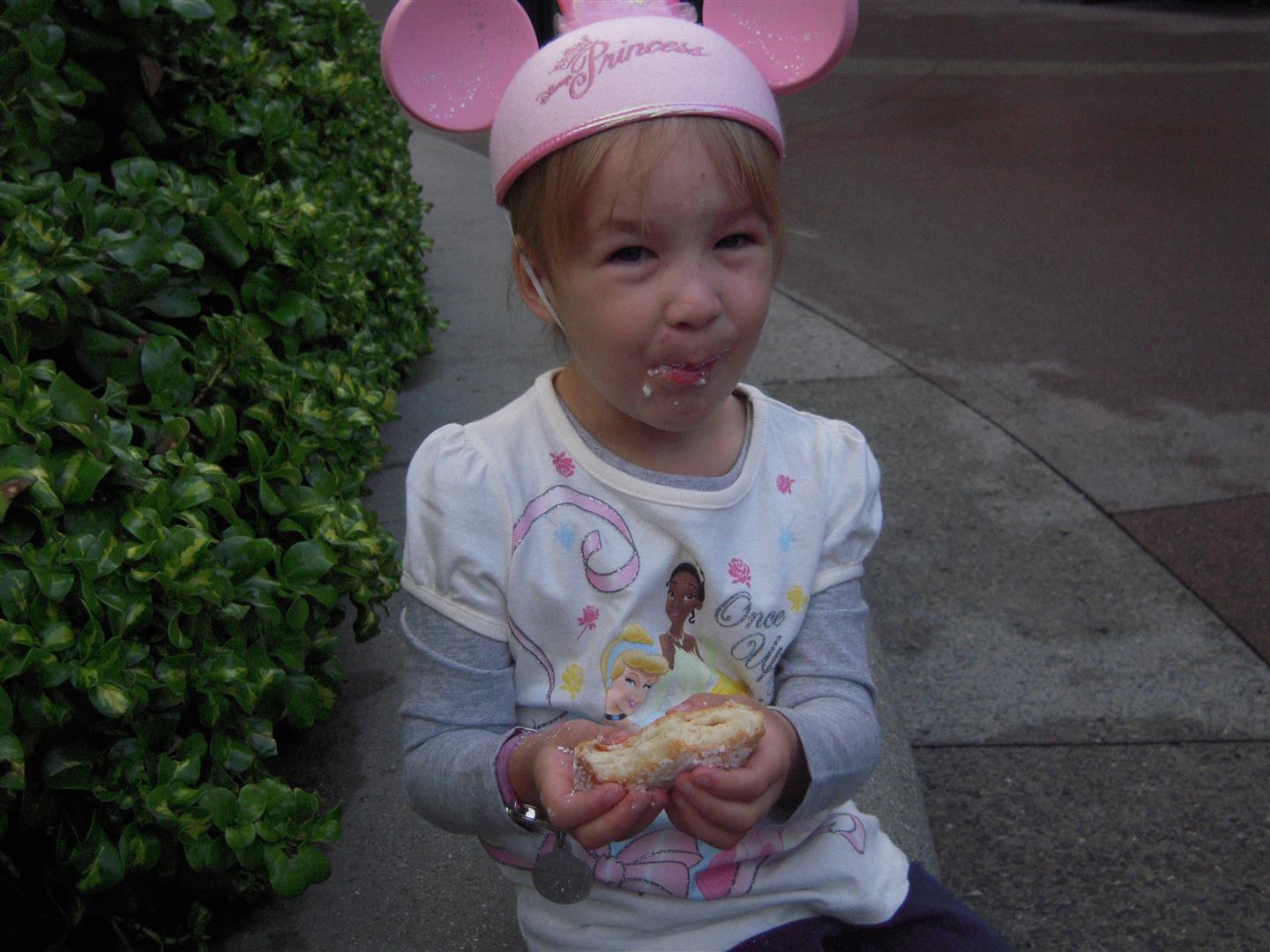 DSCN8400%20(Large).JPG