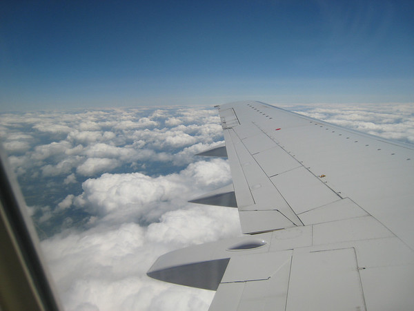 323668980_yHQcn-M.jpg