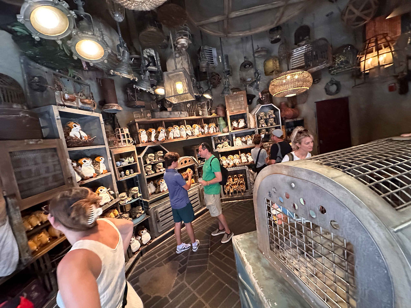 p366615505-4.jpg