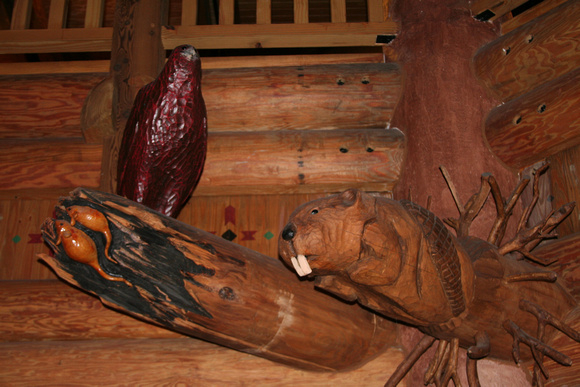 p683154535-3.jpg