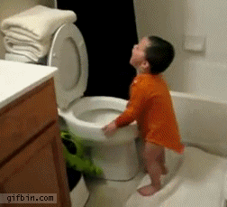 1285930892_kid-sticks-head-in-toilet-bowl.gif