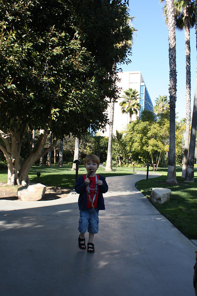 IMG9432-L.jpg
