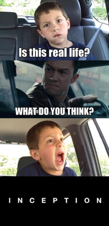 tumblr_lnptzgE1GO1qe11kdo1_500.jpg