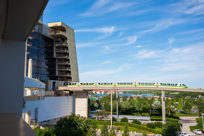 DSC_2327-L.jpg