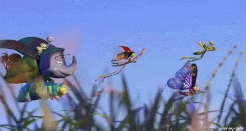 giphy.gif