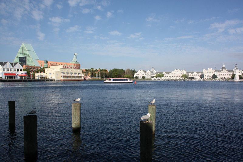 1211829858_vm8fH-L.jpg