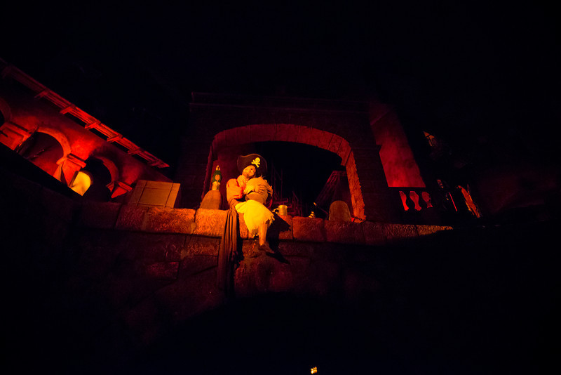DSC_6774-L.jpg